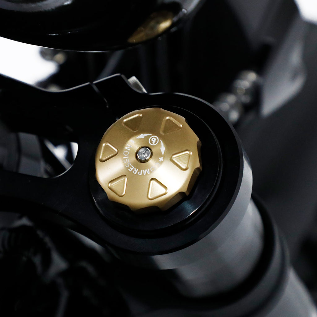 The Bagus V3 eBike