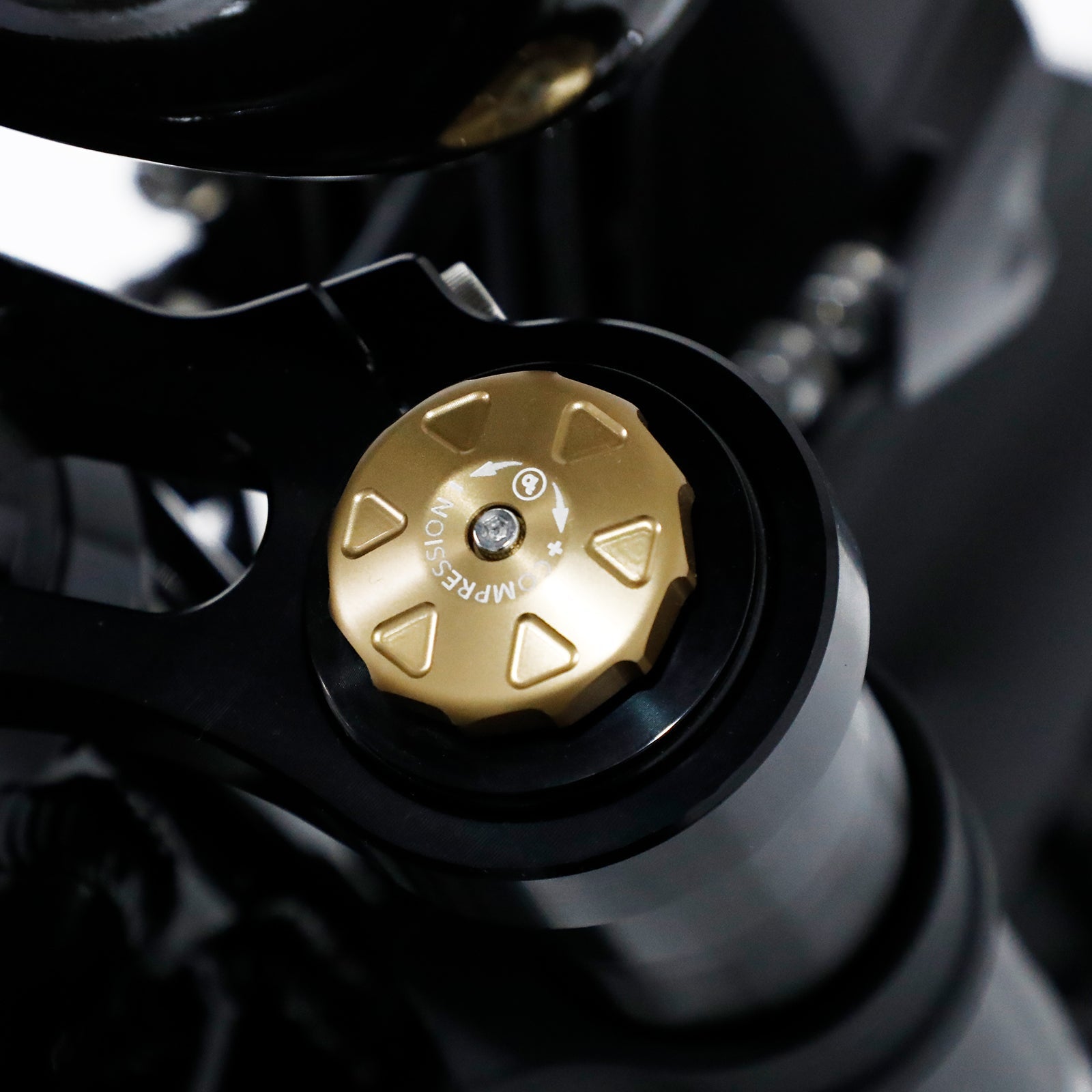 The Bagus V3 eBike