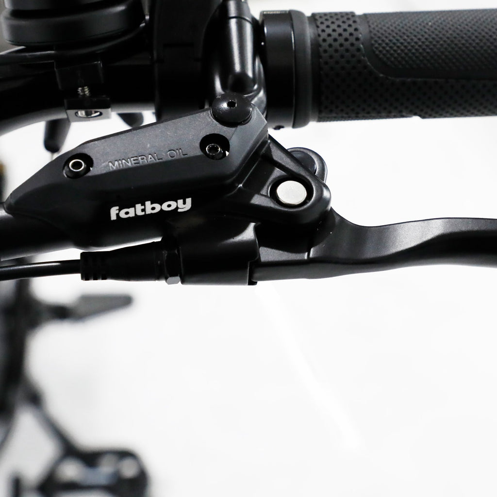 The Bagus V3 eBike