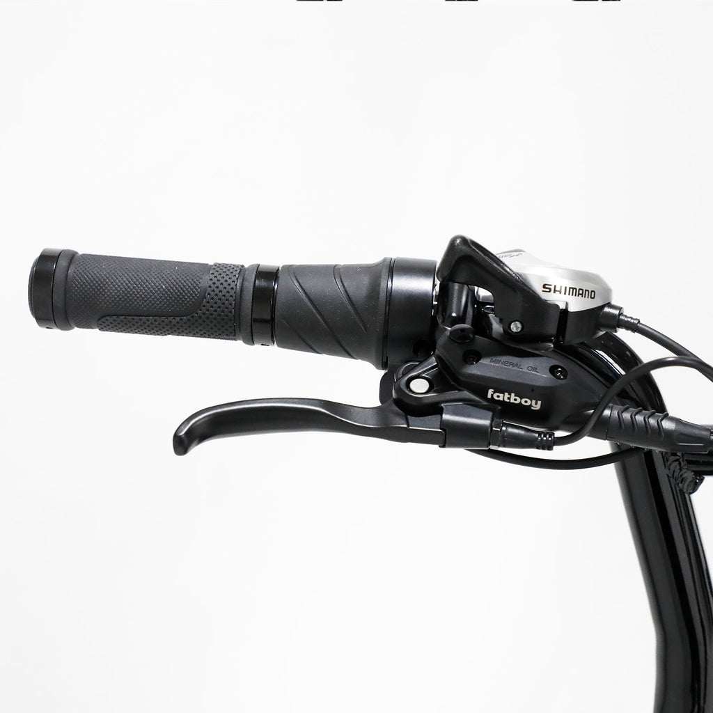 The Harlem V3 eBike