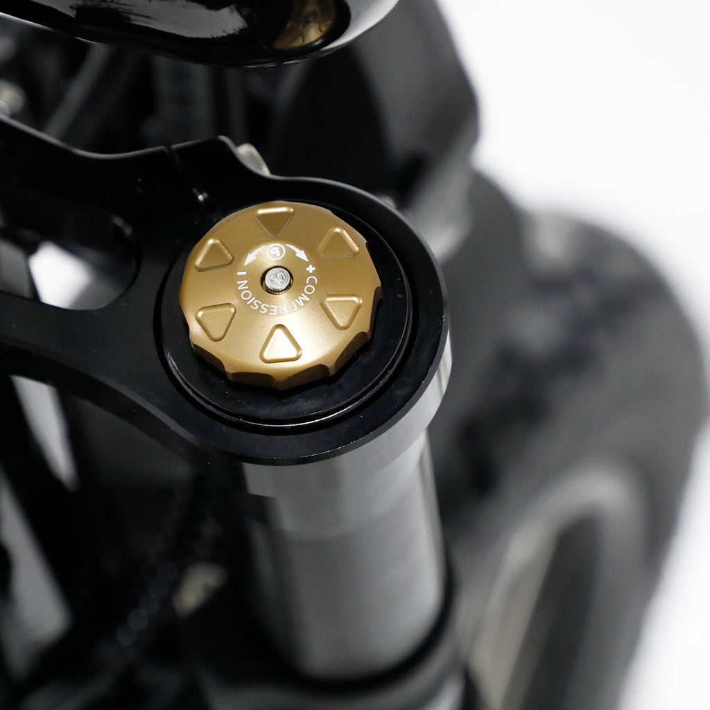 The Harlem V3 eBike