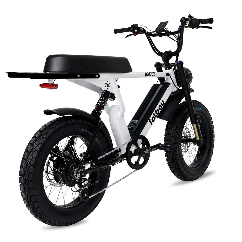 The Bagus eBike