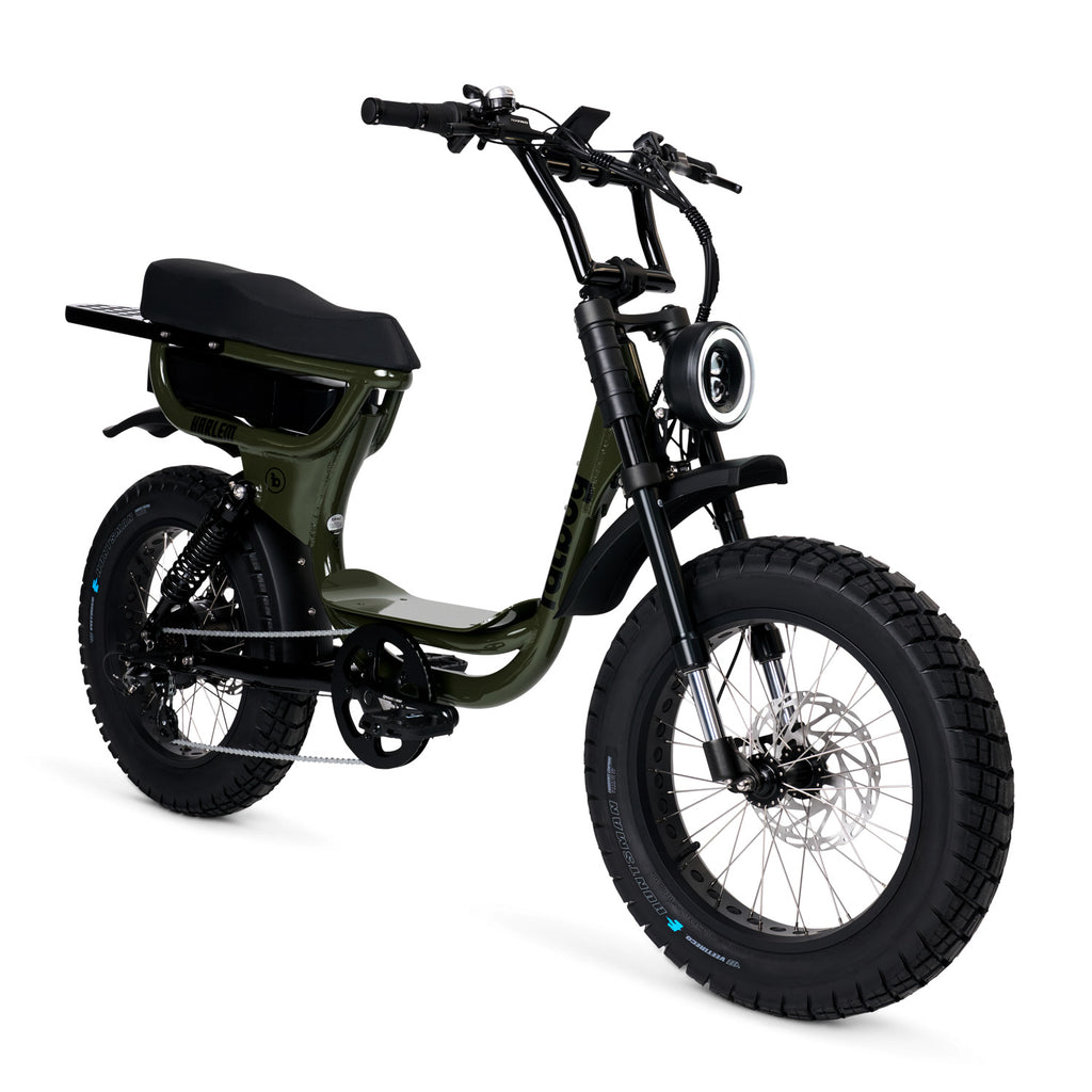 The Harlem eBike